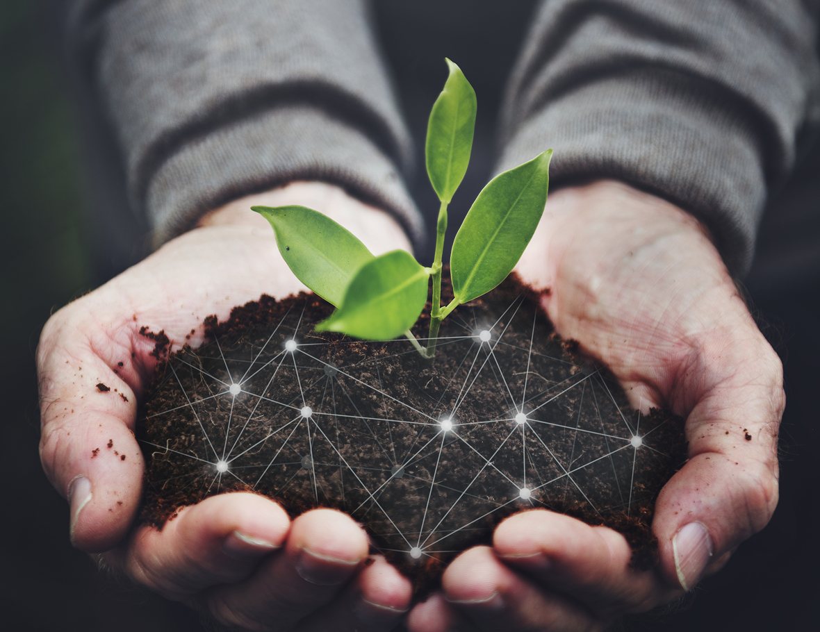 EU Mission Soil Platform – Digital Backbone of "A Soil Deal for Europe" Interface 3